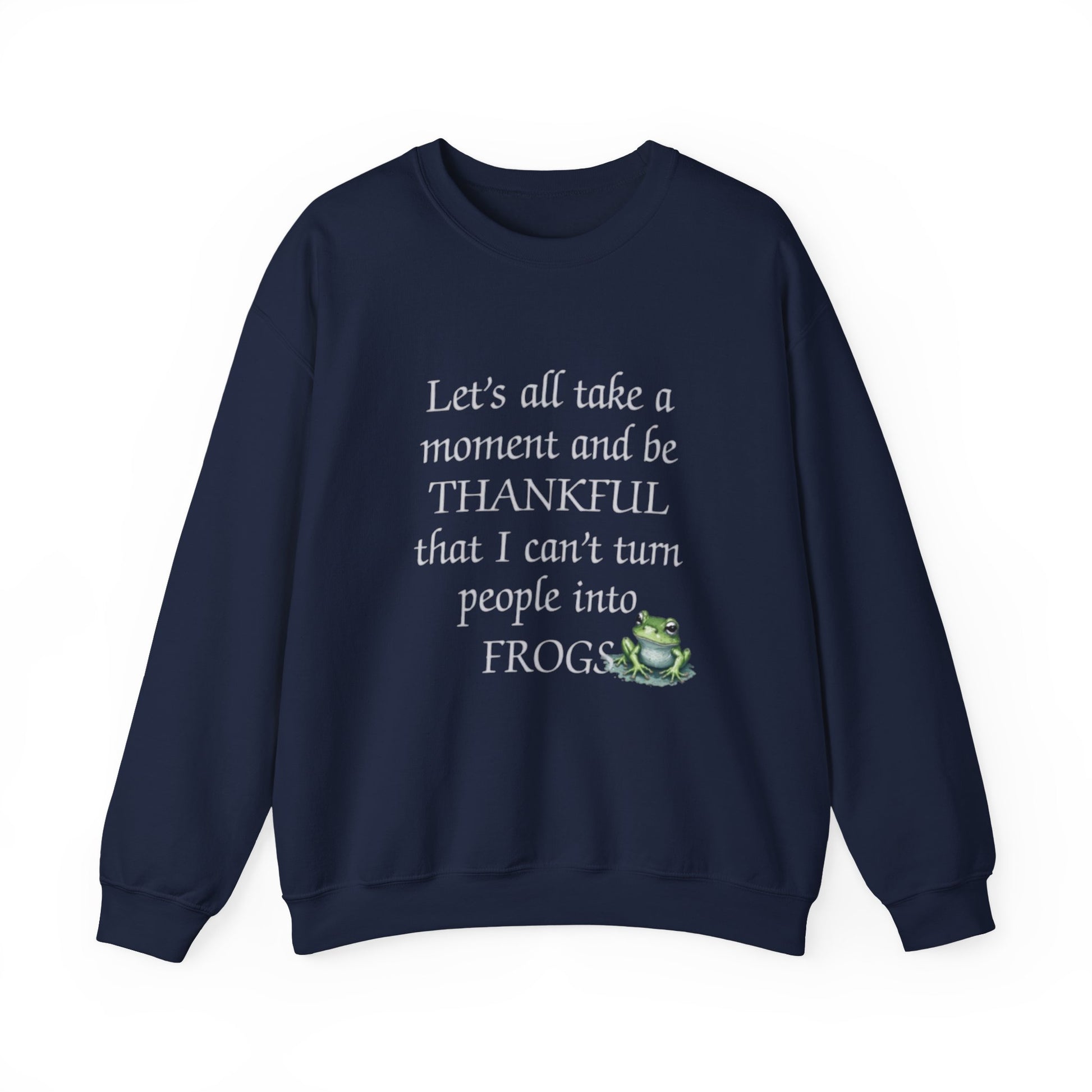 Navy blue sweatshirt with humorous text and frog graphic on a white background