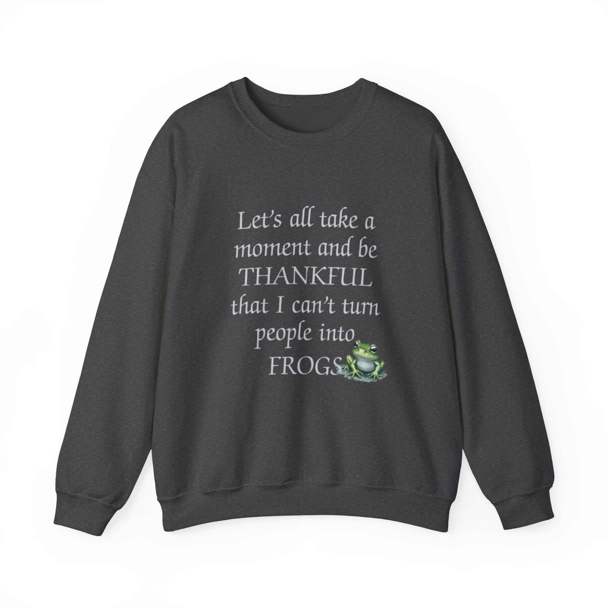 Dark gray sweatshirt with humorous text and frog graphic on a white background