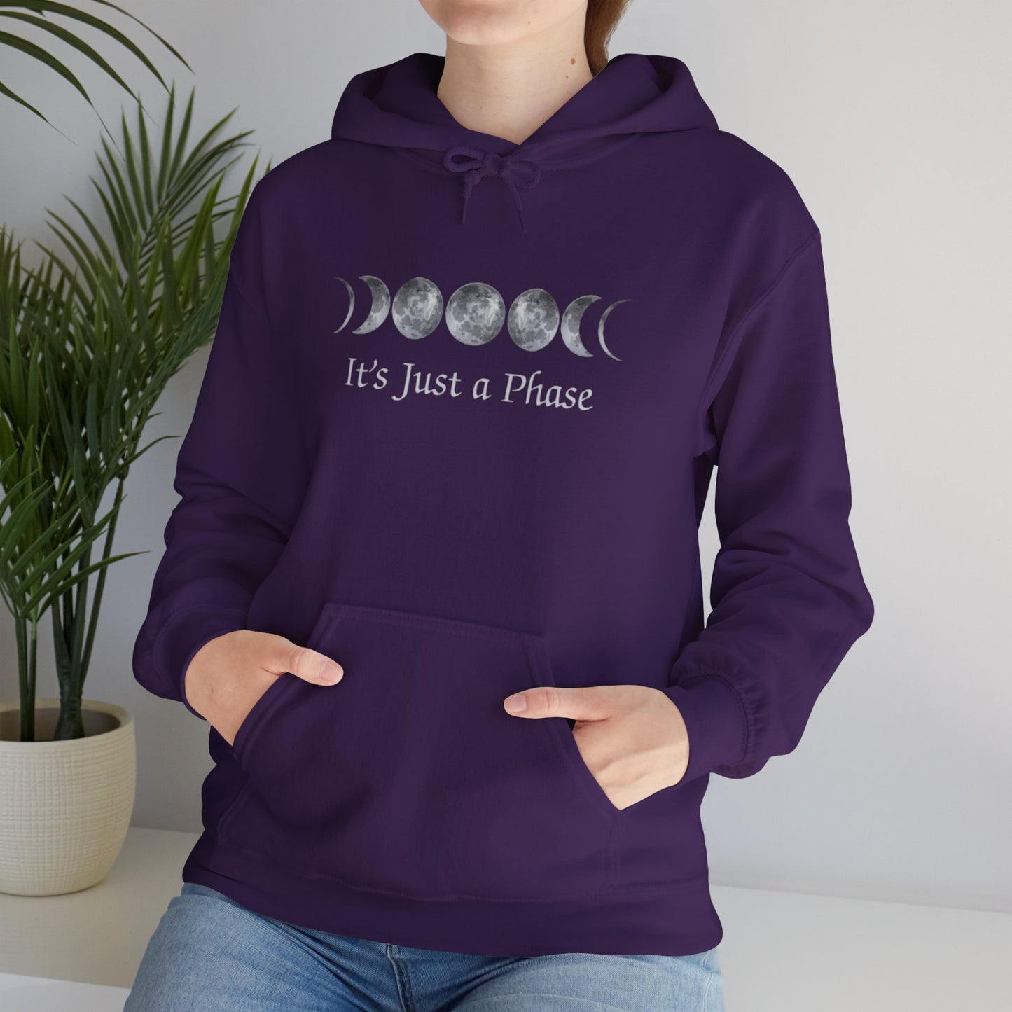It's Just a Phase Hooded Sweatshirt