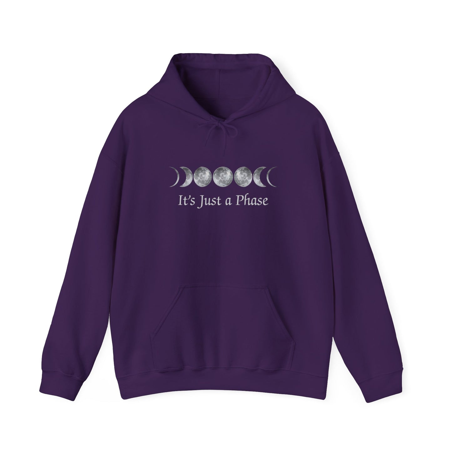 It's Just a Phase Hooded Sweatshirt