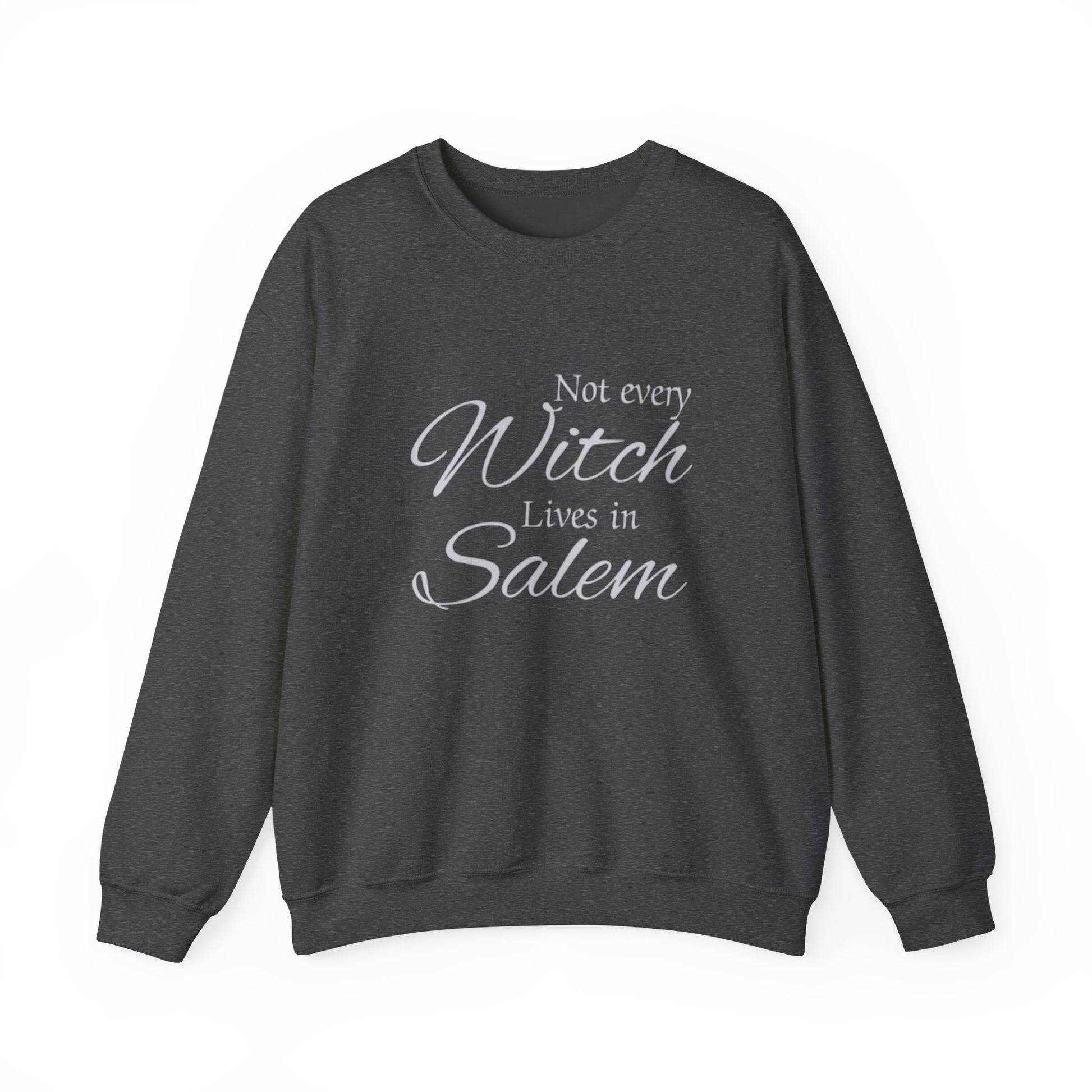 Dark gray sweatshirt with 'Not every Witch Lives in Salem' text on a white background